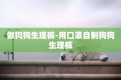 做狗狗生理褲-用口罩自制狗狗生理褲