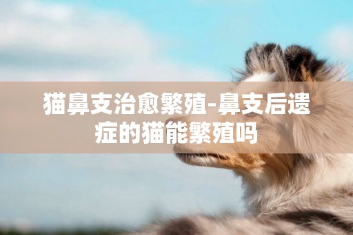 貓鼻支治愈繁殖-鼻支后遺癥的貓能繁殖嗎