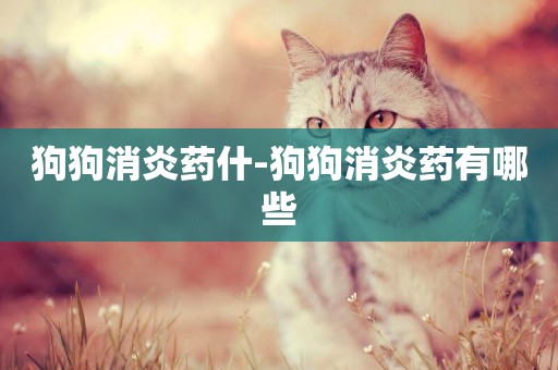狗狗消炎藥什-狗狗消炎藥有哪些
