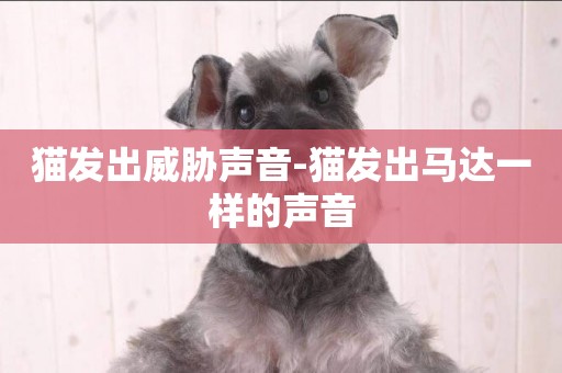 貓發出威脅聲音-貓發出馬達一樣的聲音