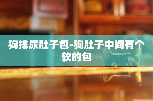 狗排尿肚子包-狗肚子中間有個軟的包