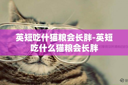 英短吃什貓糧會長胖-英短吃什么貓糧會長胖
