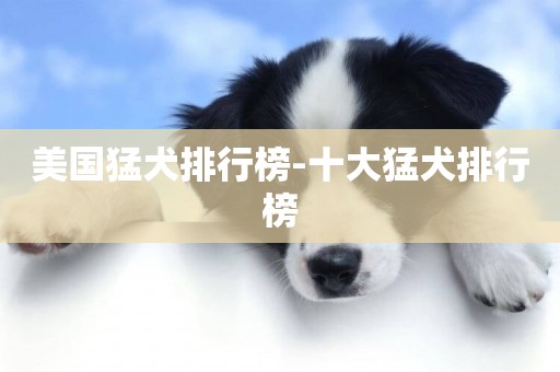 美國猛犬排行榜-十大猛犬排行榜