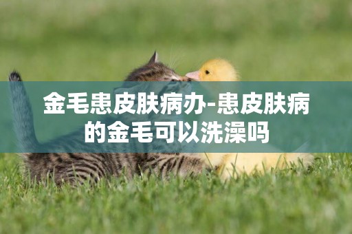 金毛患皮膚病辦-患皮膚病的金毛可以洗澡嗎