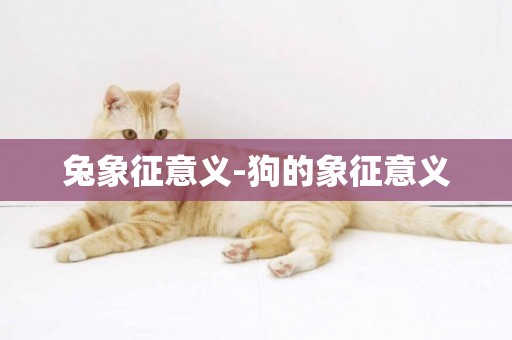 兔象征意義-狗的象征意義