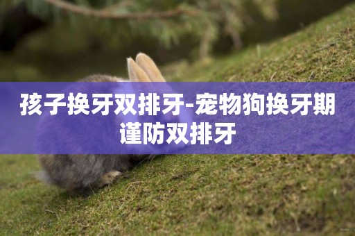 孩子換牙雙排牙-寵物狗換牙期謹防雙排牙