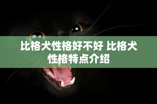 比格犬性格好不好 比格犬性格特點介紹
