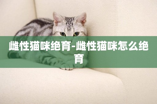 雌性貓咪絕育-雌性貓咪怎么絕育