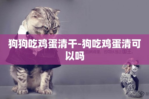 狗狗吃雞蛋清干-狗吃雞蛋清可以嗎