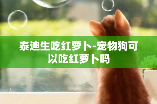 泰迪生吃紅蘿卜-寵物狗可以吃紅蘿卜嗎