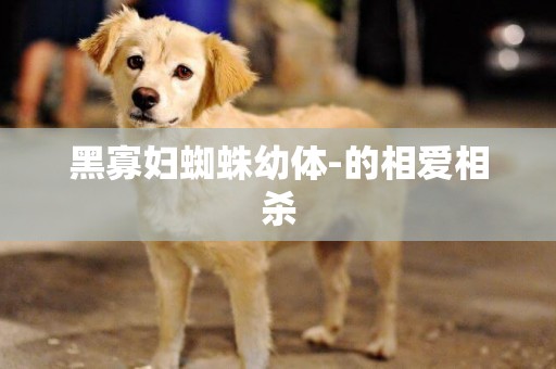 黑寡婦蜘蛛幼體-的相愛相殺