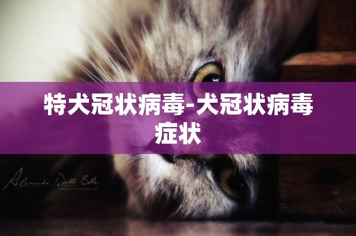 特犬冠狀病毒-犬冠狀病毒癥狀