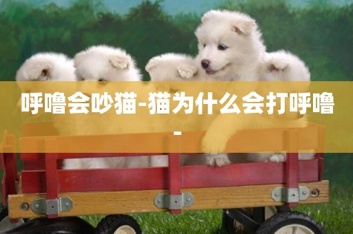 呼嚕會吵貓-貓為什么會打呼嚕-