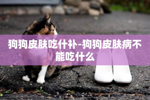 狗狗皮膚吃什補-狗狗皮膚病不能吃什么