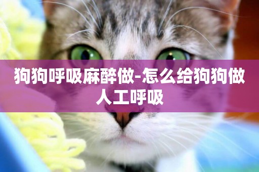 狗狗呼吸麻醉做-怎么給狗狗做人工呼吸