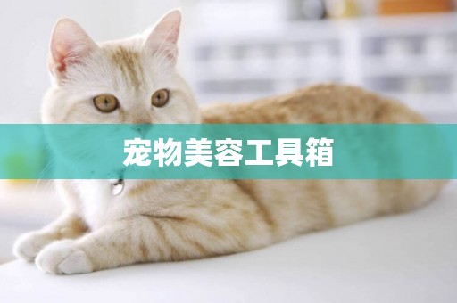 寵物美容工具箱