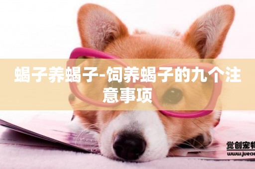 蝎子養蝎子-飼養蝎子的九個注意事項