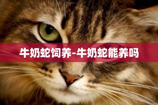 牛奶蛇飼養-牛奶蛇能養嗎