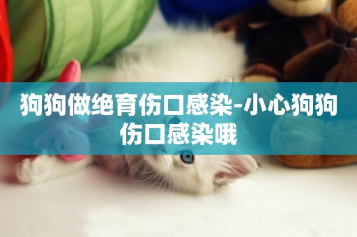 狗狗做絕育傷口感染-小心狗狗傷口感染哦