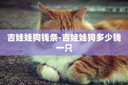 吉娃娃狗錢條-吉娃娃狗多少錢一只