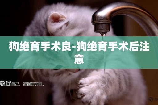狗絕育手術良-狗絕育手術后注意