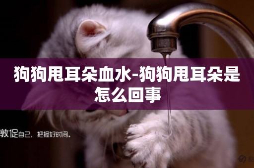 狗狗甩耳朵血水-狗狗甩耳朵是怎么回事