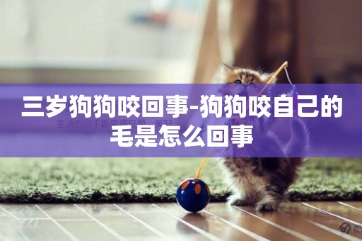 三歲狗狗咬回事-狗狗咬自己的毛是怎么回事