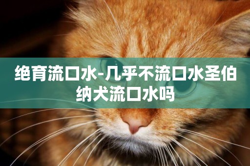 絕育流口水-幾乎不流口水圣伯納犬流口水嗎