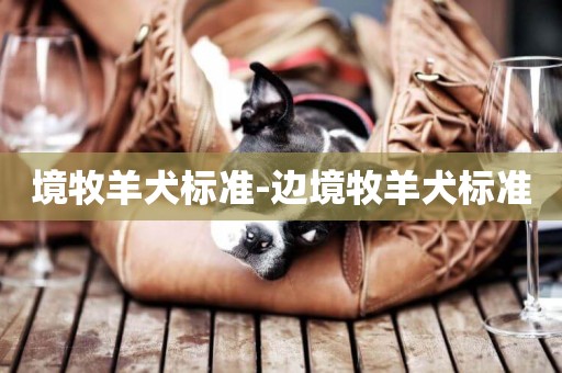 境牧羊犬標準-邊境牧羊犬標準