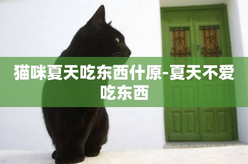 貓咪夏天吃東西什原-夏天不愛吃東西