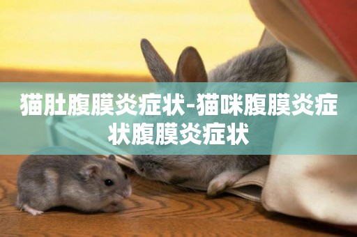 貓肚腹膜炎癥狀-貓咪腹膜炎癥狀腹膜炎癥狀