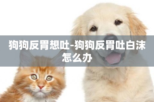 狗狗反胃想吐-狗狗反胃吐白沫怎么辦