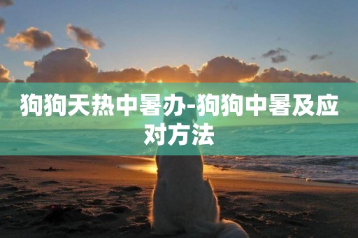 狗狗天熱中暑辦-狗狗中暑及應對方法