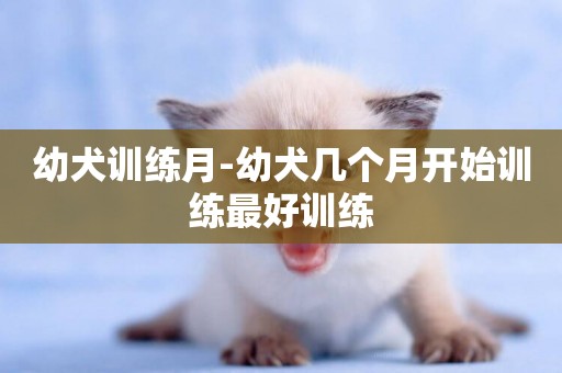 幼犬訓練月-幼犬幾個月開始訓練最好訓練
