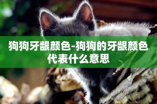 狗狗牙齦顏色-狗狗的牙齦顏色代表什么意思