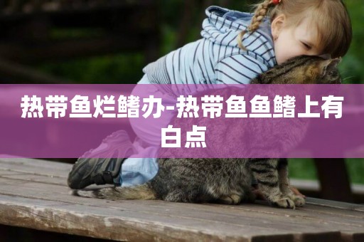 熱帶魚爛鰭辦-熱帶魚魚鰭上有白點