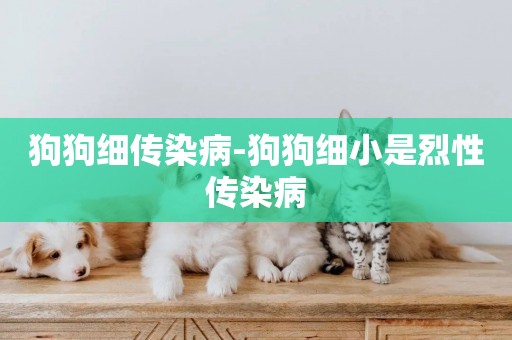 狗狗細傳染病-狗狗細小是烈性傳染病
