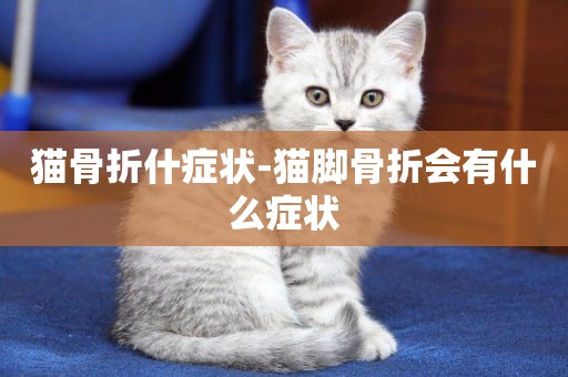 貓骨折什癥狀-貓腳骨折會有什么癥狀