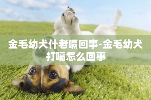 金毛幼犬什老嗝回事-金毛幼犬打嗝怎么回事