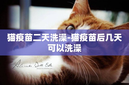 貓疫苗二天洗澡-貓疫苗后幾天可以洗澡