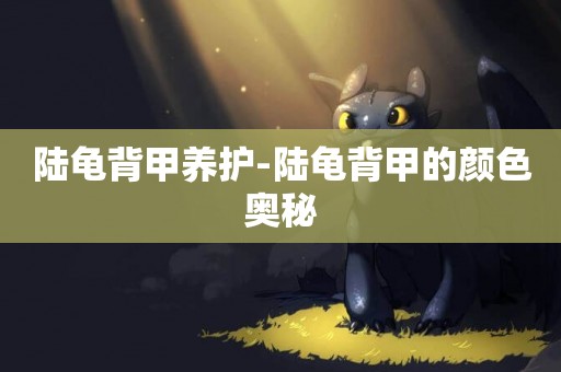 陸龜背甲養護-陸龜背甲的顏色奧秘