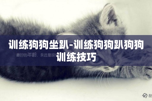 訓練狗狗坐趴-訓練狗狗趴狗狗訓練技巧