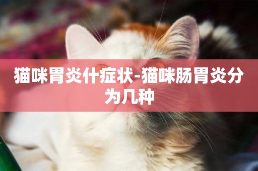 貓咪胃炎什癥狀-貓咪腸胃炎分為幾種