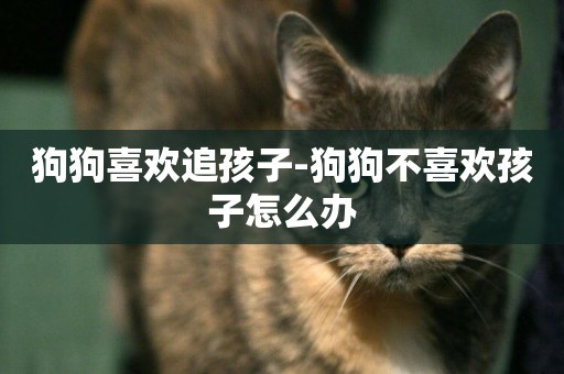 狗狗喜歡追孩子-狗狗不喜歡孩子怎么辦
