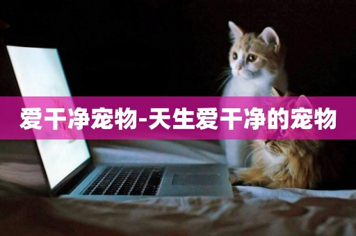 愛干凈寵物-天生愛干凈的寵物