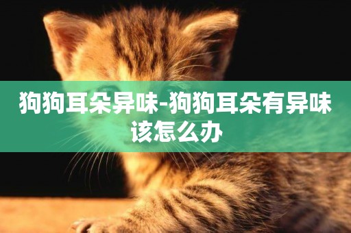 狗狗耳朵異味-狗狗耳朵有異味該怎么辦