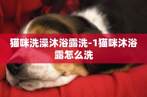 貓咪洗澡沐浴露洗-1貓咪沐浴露怎么洗