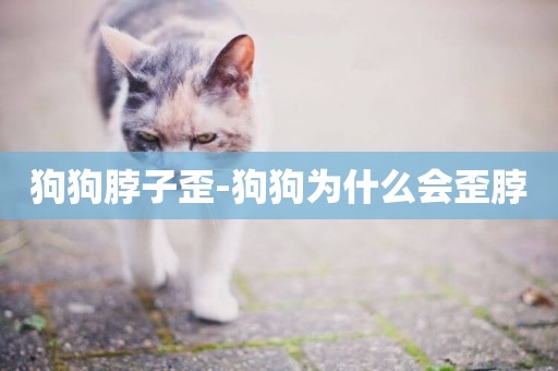 狗狗脖子歪-狗狗為什么會歪脖