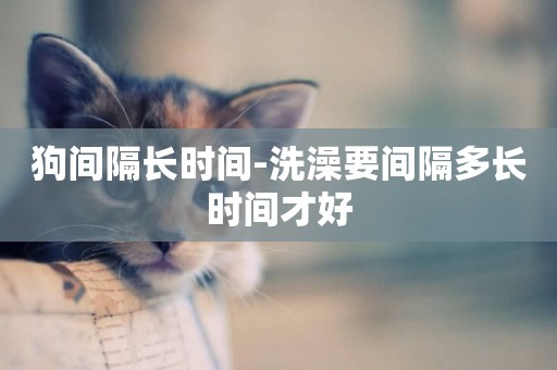 狗間隔長時間-洗澡要間隔多長時間才好