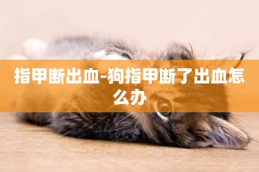 指甲斷出血-狗指甲斷了出血怎么辦